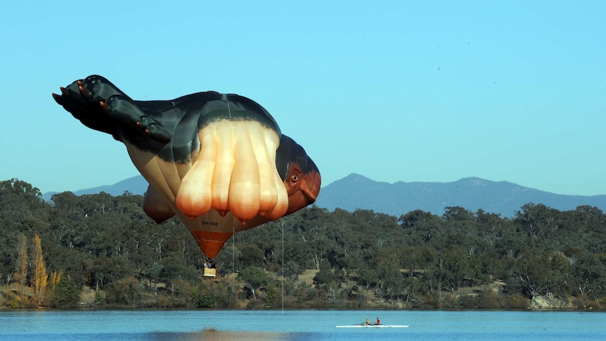 Skywhale flies over Canberra