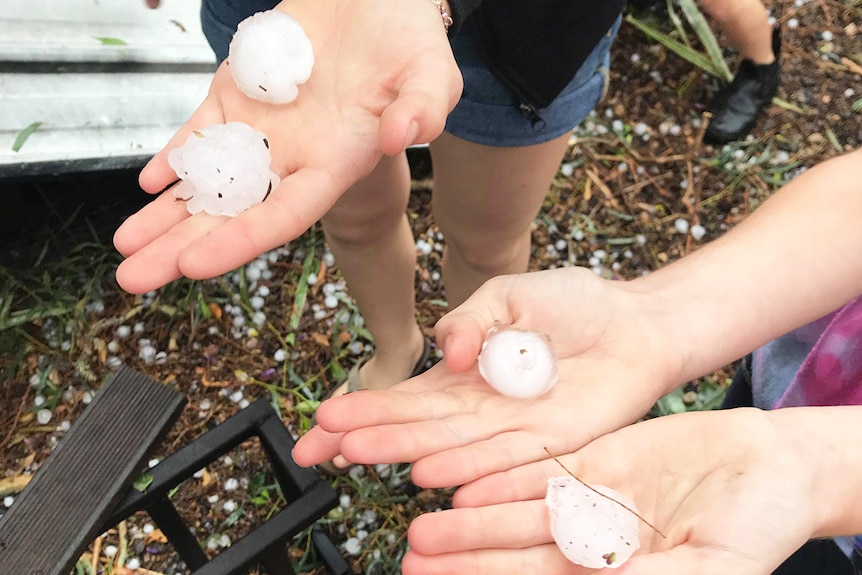 Hail stones held in hands after storm at Kumbria, west of Nanango in southern Queensland.