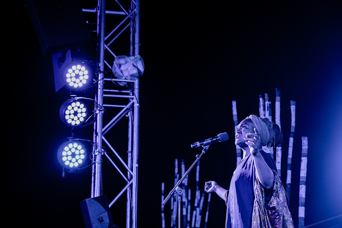 Electric Fields' Zaachariaha Fielding and artist Robert Fielding