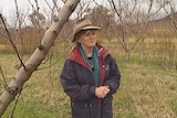 Robyn Clubb in orchard