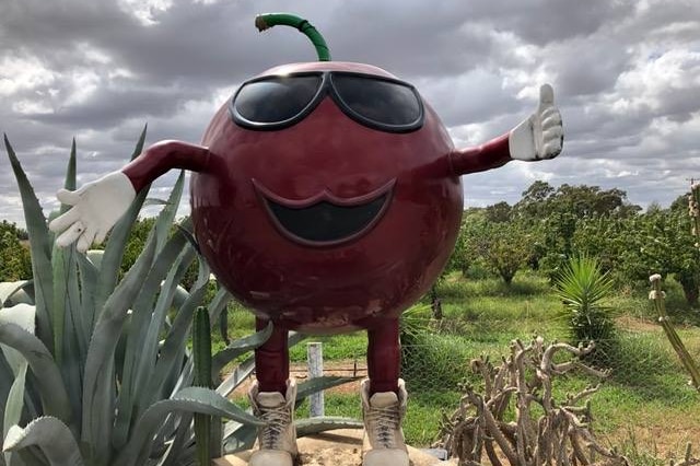 The Big Cherry statue in front of orchards in Wyuna, Victoria