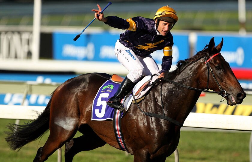 Racing industry closes ranks behind Oliver - ABC News