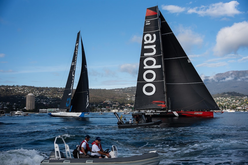 LawConnect and Andoo Comanche nearing the finish line.