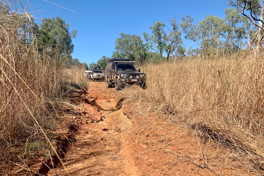 Several cars lined up to drive along a bush track