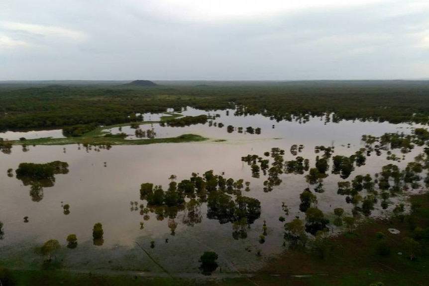 a scrubby paddock flooded