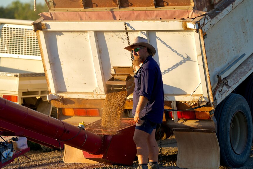 A white man with a beard, sunglasses, a blue shirt, hat and shorts pourind seed onto a tractor.
