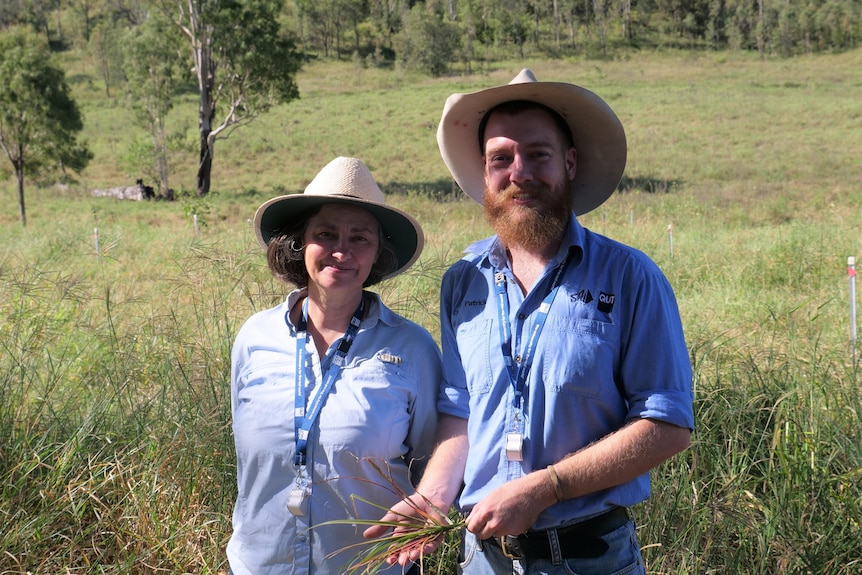 A woman named Caroline Hauxwell and man named Darcy Patrick stand in a cattle padock