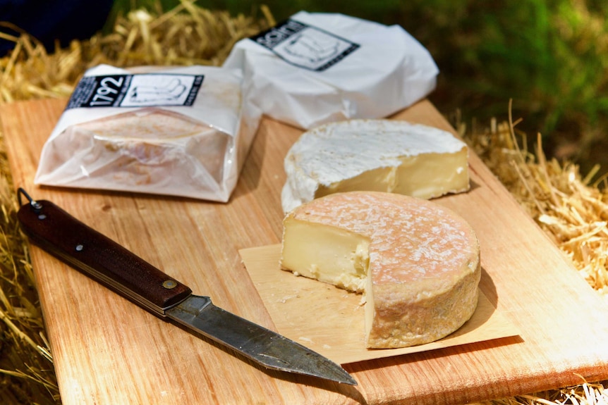 A cutting board with various cheeses on it.