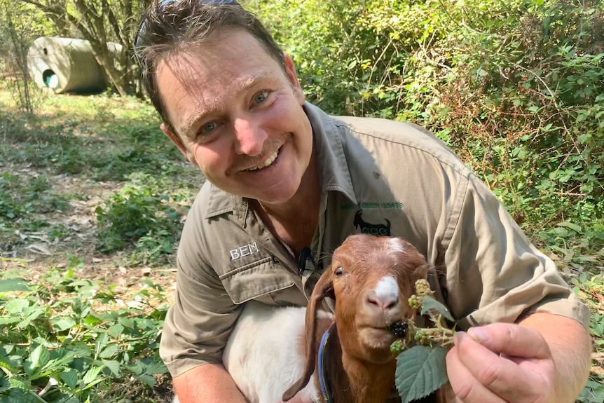 A man holds a young goat, feeding it a sprig from a blackberry bush
