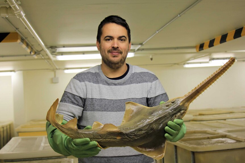 William White, senior curator of Australian National Fish Collection