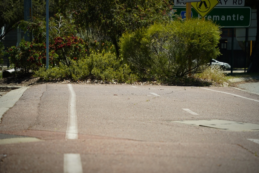 A cycle path abruptly ends into a bush