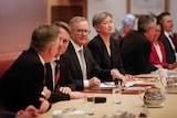 Albanese looks at the camera as people around him talk at a cabinet table. 