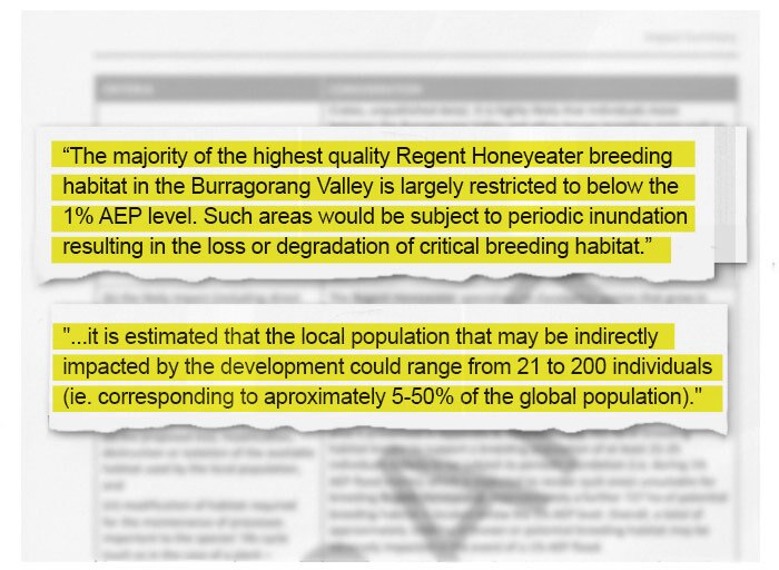 An infographic highlights passages revealing 'the majority of highest quality' habitat will be lost.