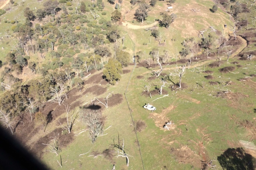Aerial shot of the search for two girls.