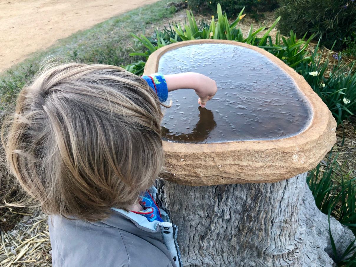 Frosty morning as subzero temperatures leave southern Queensland