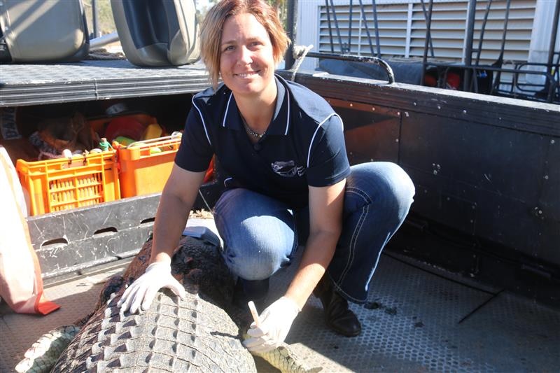 Photo of a woman standing over a crocodile