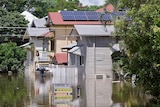A flooded street in Milton in Brisbane