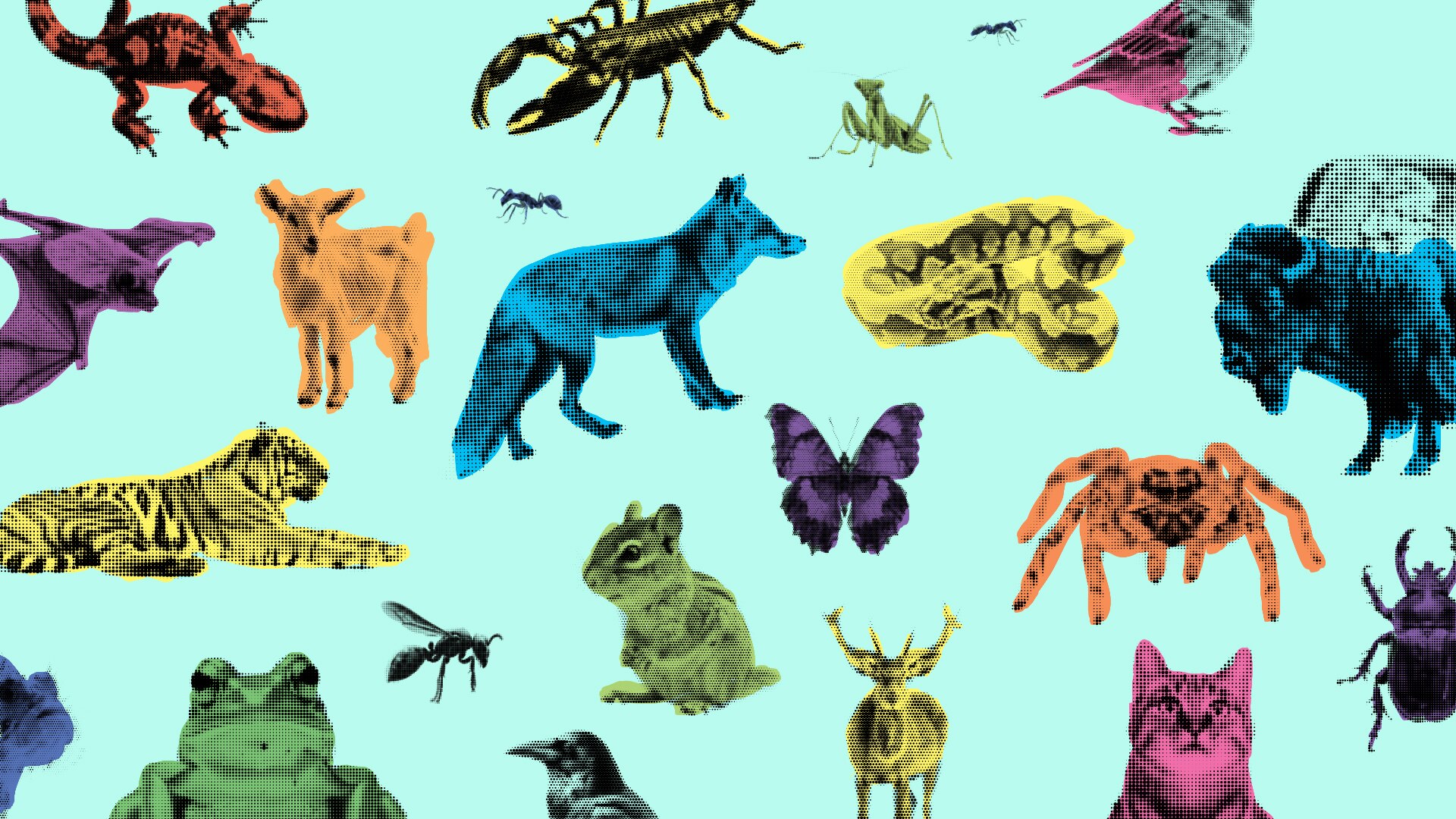 Collage of various animals like tiger, goat, wasp, frog, deer, spider, buffalo, fox, bat, gecko, butterfly, praying mantis, etc.