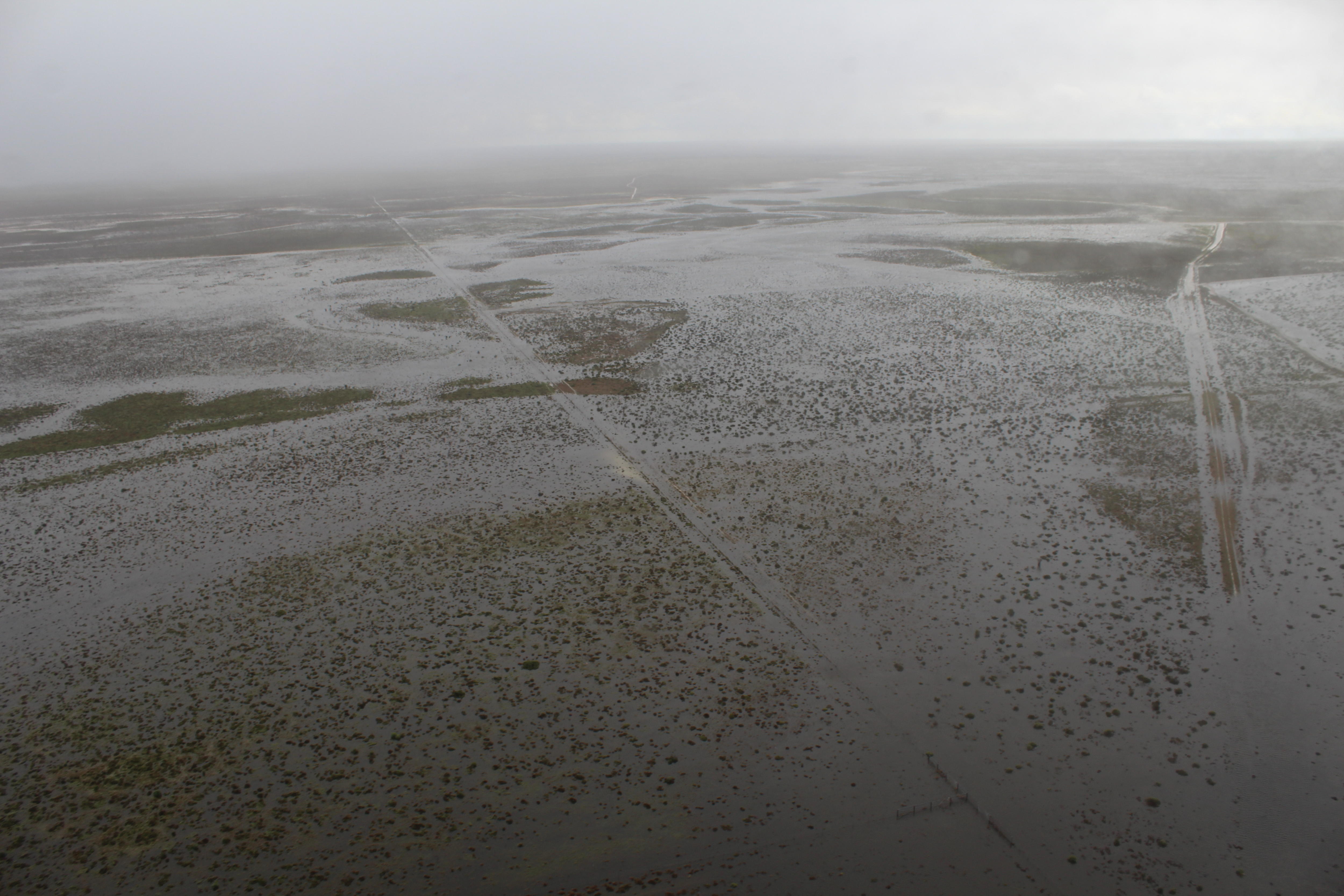 Riverina's Hay Plains fill with floodwater to form inland sea at