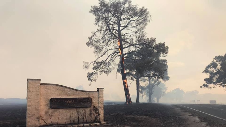 Burnt out ground, a tree of fire.