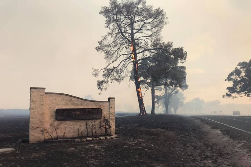 Burnt out ground, a tree of fire.