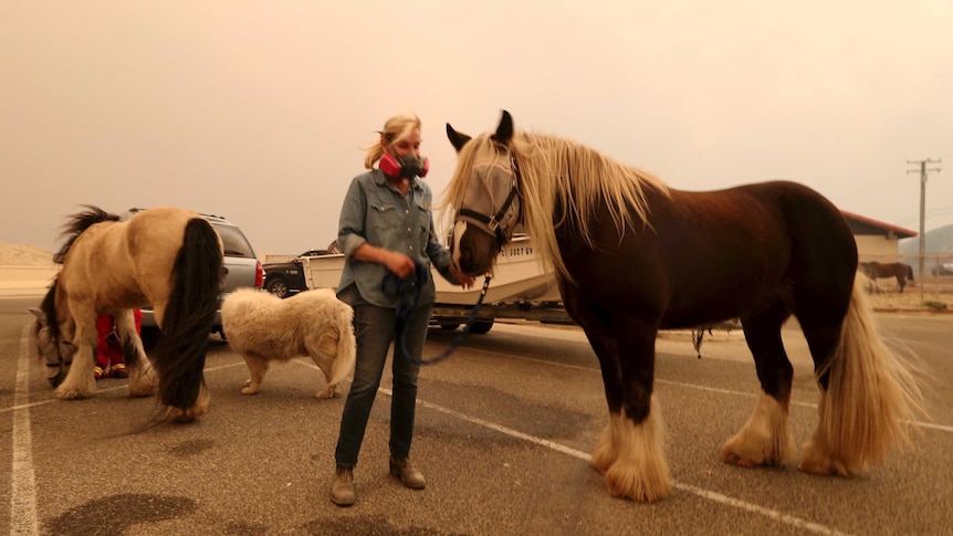 A woman in a face mask leads a horse, against a hazy orange sky.