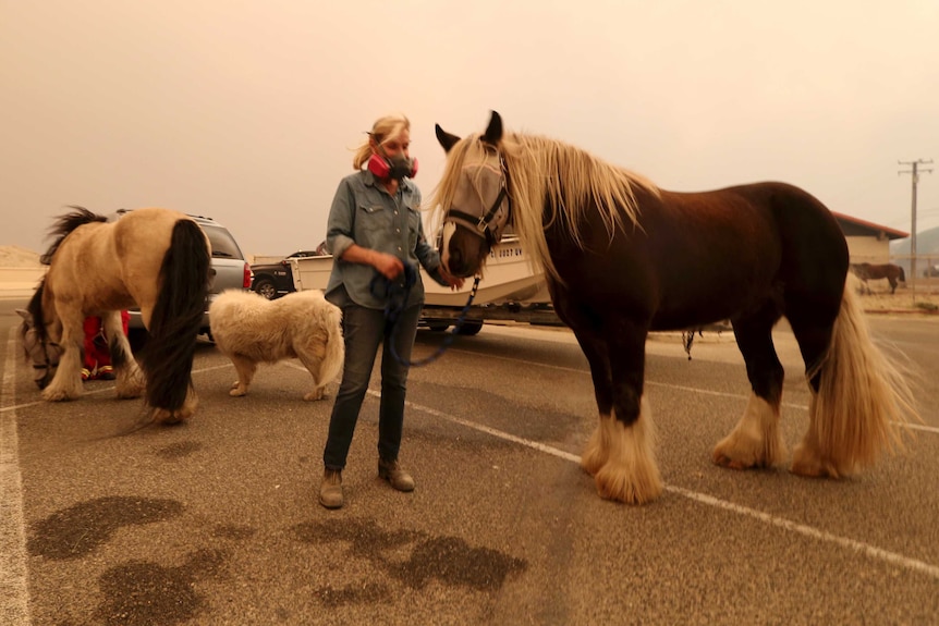 A woman in a face mask leads a horse, against a hazy orange sky.