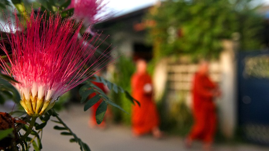 The monks' posture is straight, their hands are clasped as they walk through the streets.