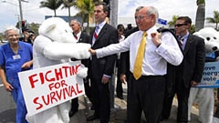 PM John Howard meeting a 'bear' fighting for survival