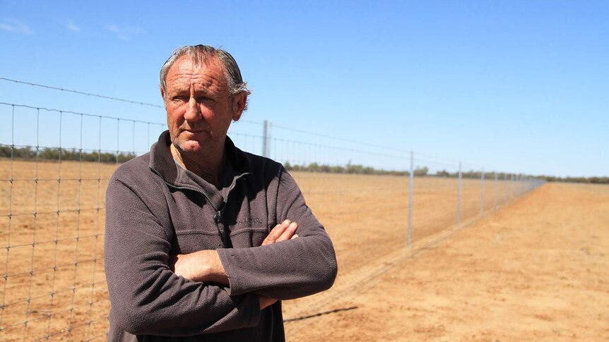 Cunnamulla kangaroo shooter Tom King stands beside a cluster fence near Cunnamulla in western Queensland.