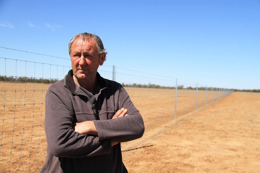 Cunnamulla kangaroo shooter Tom King stands beside a cluster fence near Cunnamulla in western Queensland.