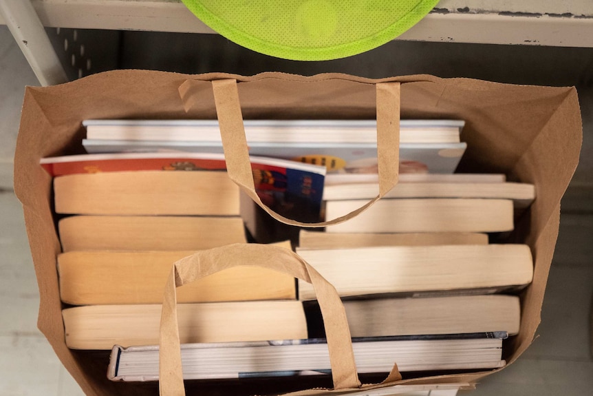 A brown paper back with books stacked into it, from above