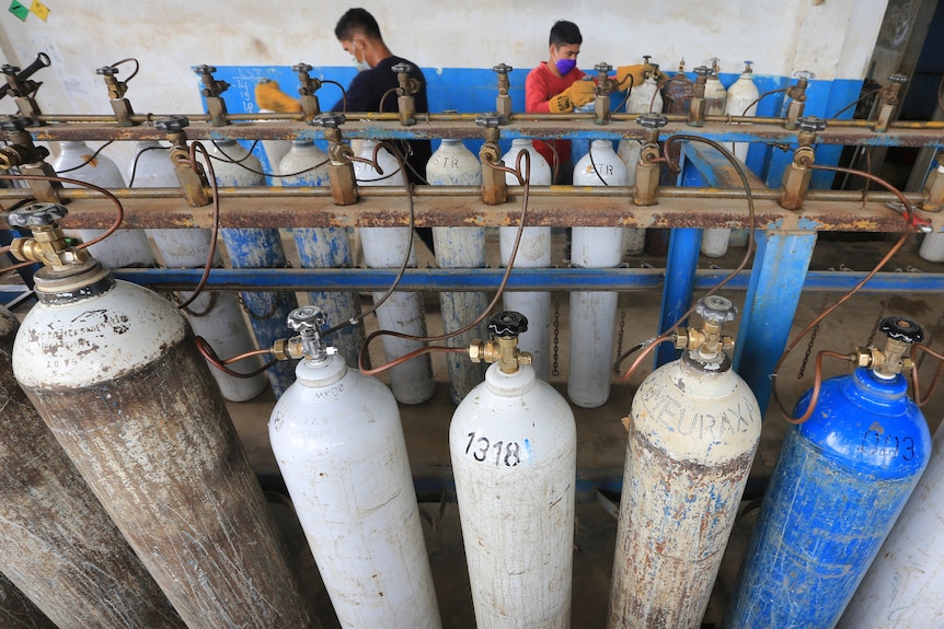 Two men wearing face masks and orange work gloves use gaslines to refill large thin cylinders with oxygen.