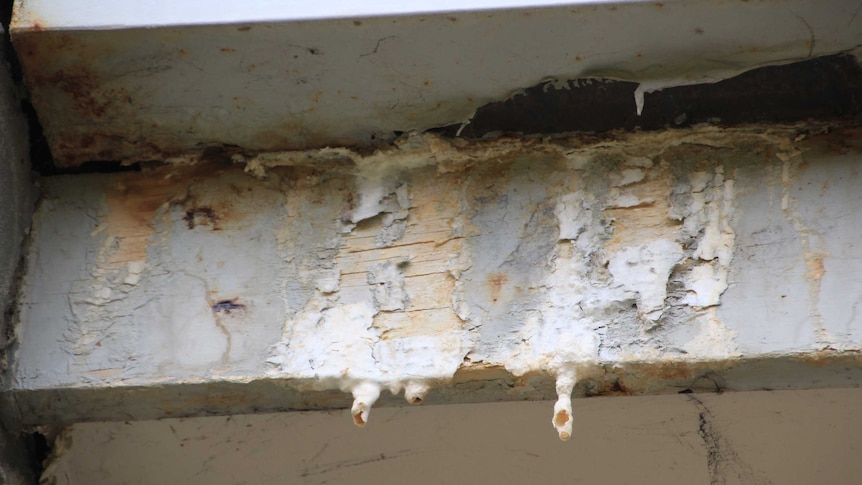 A rotting, rusted wooden beam with paint dripping off.