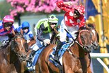 Shamal Wind claims victory in Oakleigh Plate