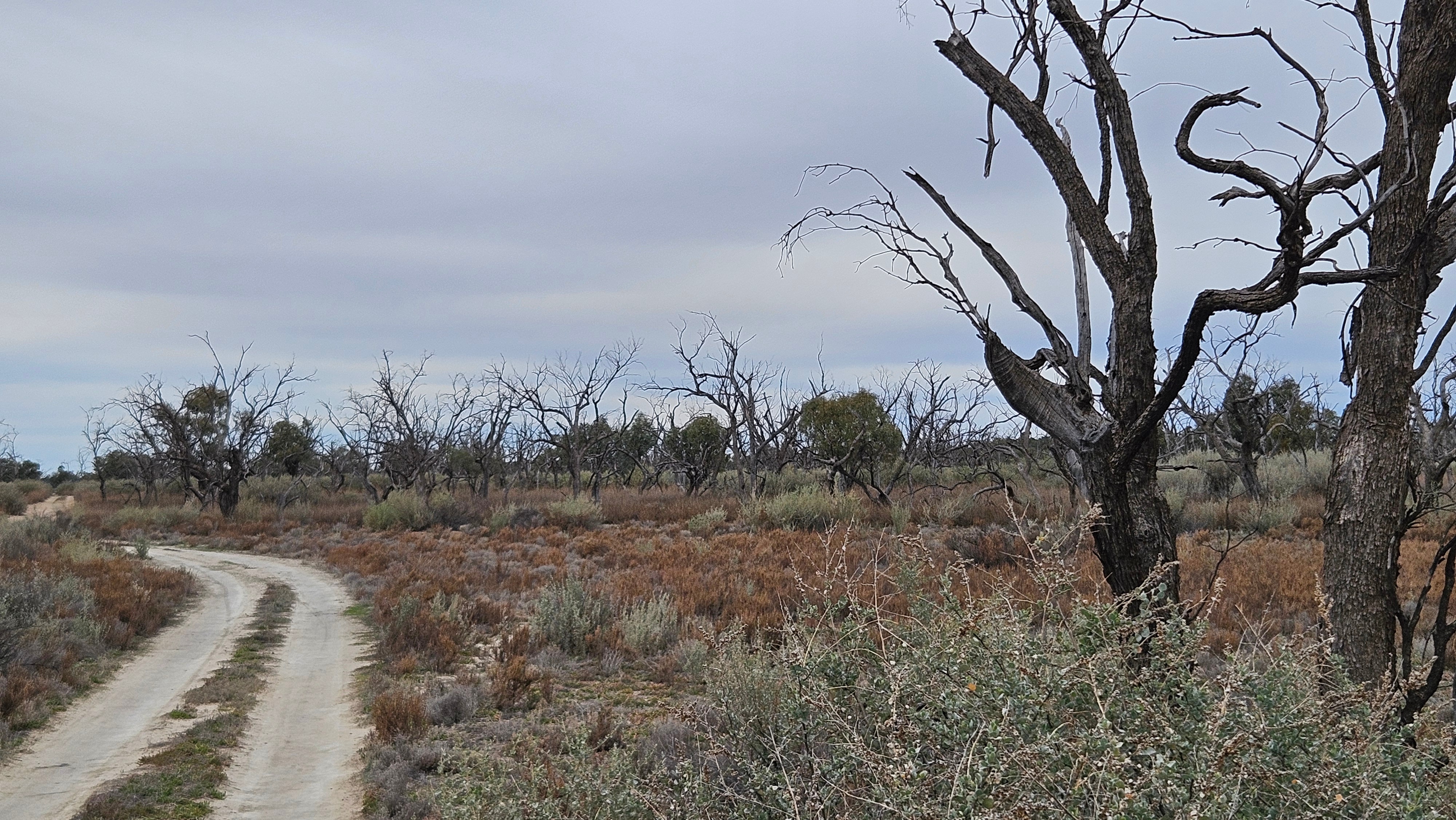Fires and extreme heat expose ancestral remains in Victoria