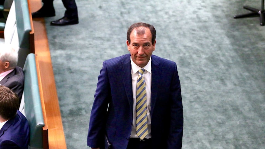 Mal Brough in the House of Representatives