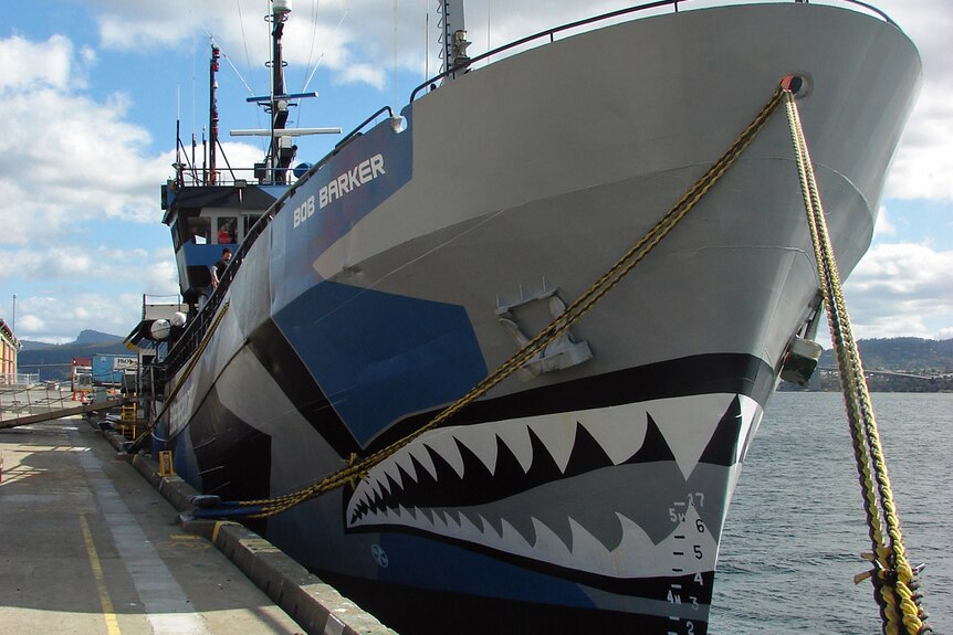 Anti-whaling ship Bob Barker