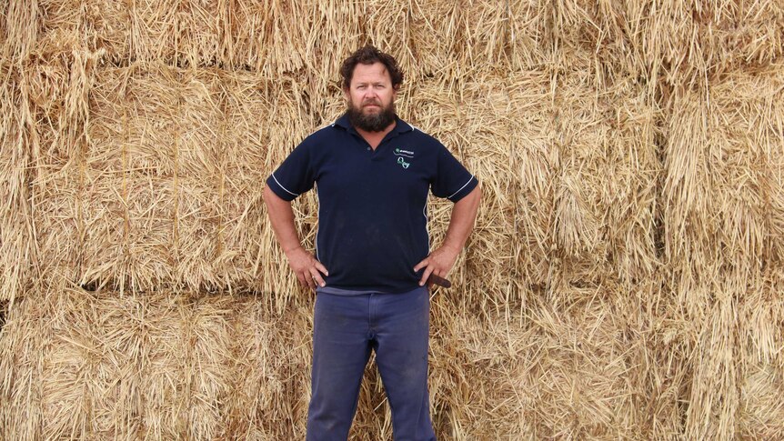 Steve Bolt stands in front of a haystack, his hands on his hips.