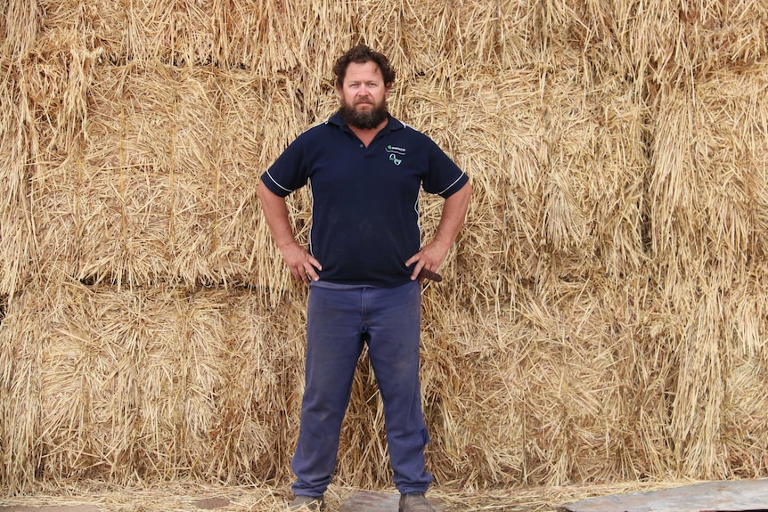 Steve Bolt stands in front of a haystack, his hands on his hips.