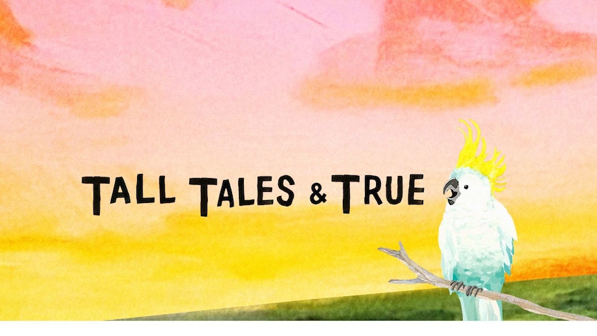 Tall Tales and True podcast album artwork, depicting a sulphur-crested cockatoo on a branch and a deep pink and orange sunset.
