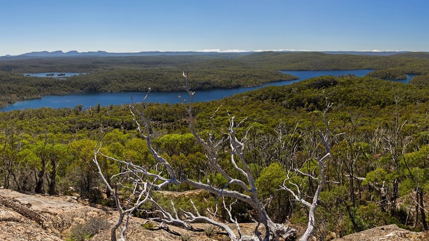 Lake Malbena in Tasmania's Central Highlands region