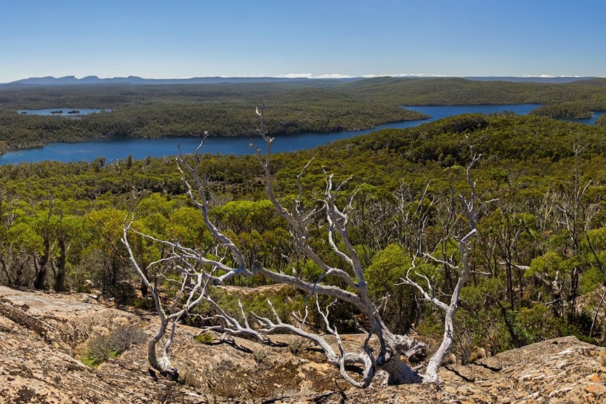 Lake Malbena in Tasmania's Central Highlands region