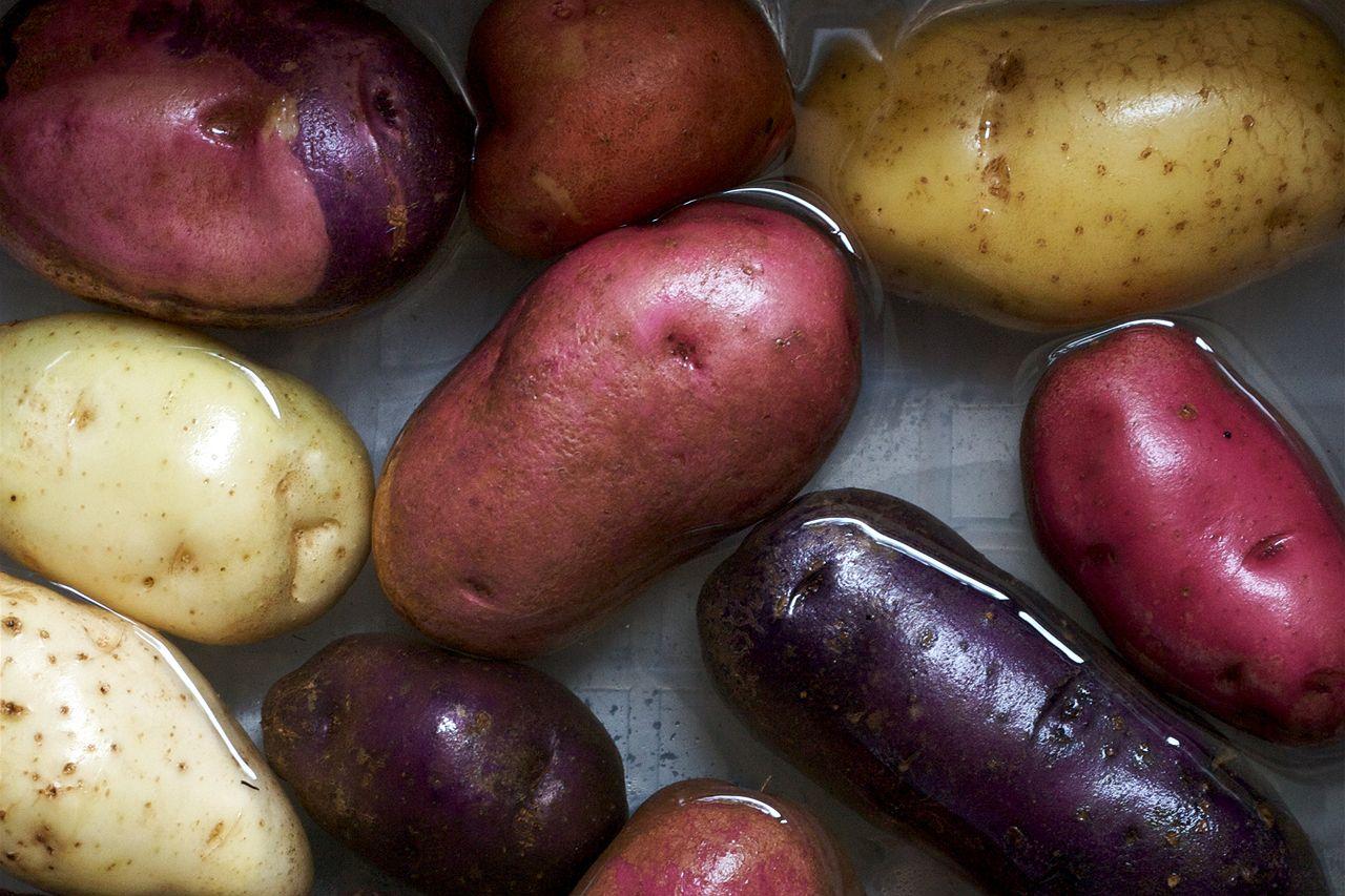 Картофель сорт елизавета описание сорта фото