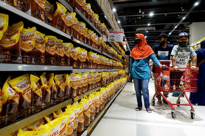 shopping for palm oil indonesia