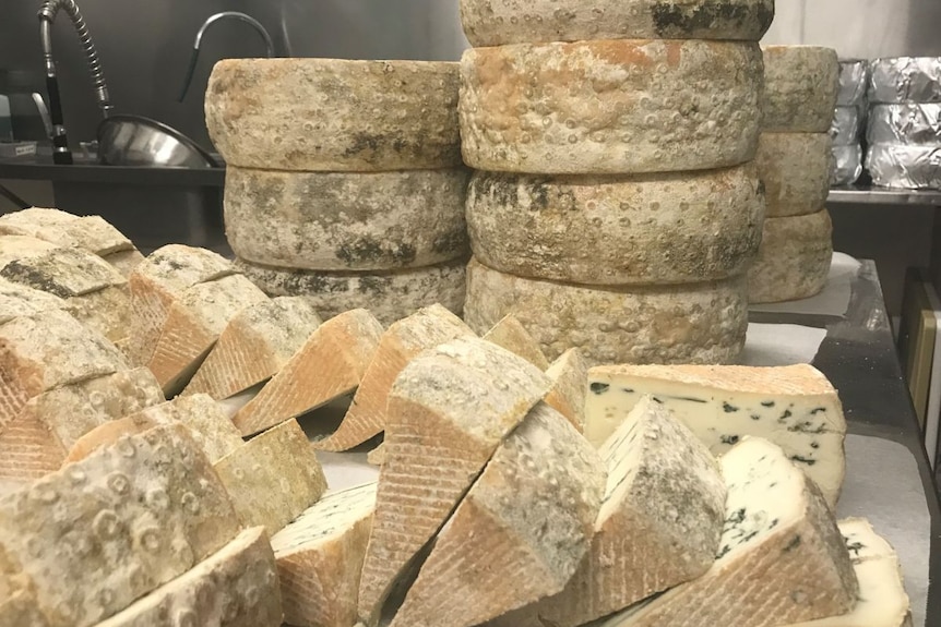 Wheels and wedges of cheese piled on a table.