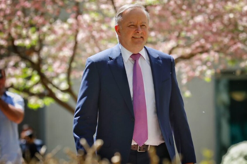 Anthony Albanese walks through a courtyard with pink flowers on the trees behind him