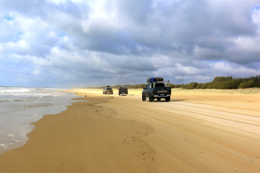 cars driving down the beach at Fraser Island
