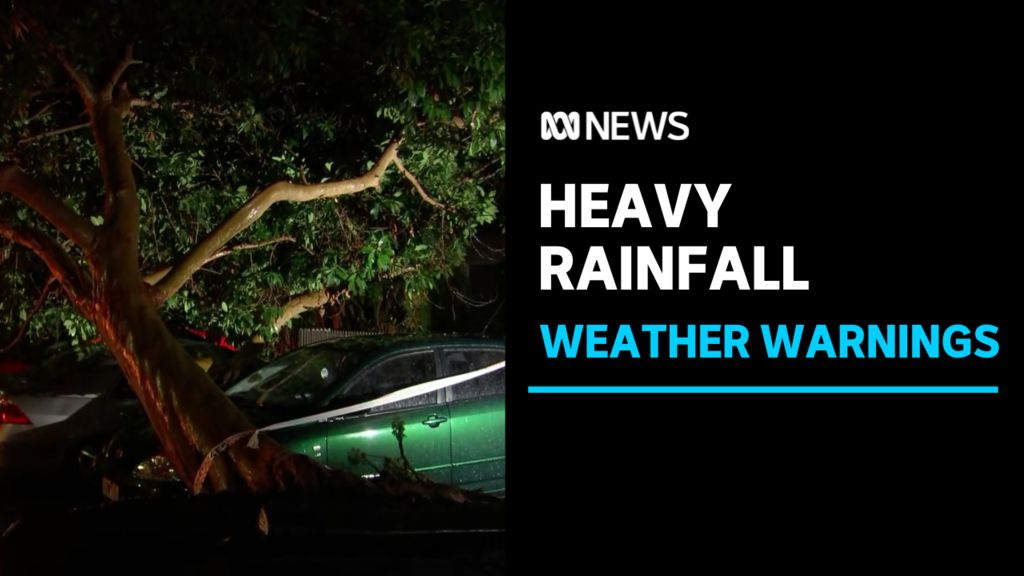 South east Australia receives drenching with more rain on the way - ABC ...