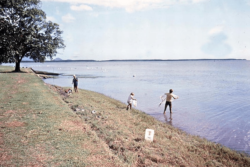 Children fish with cast nets in shallow water next to a grassy field